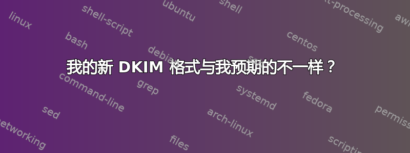 我的新 DKIM 格式与我预期的不一样？