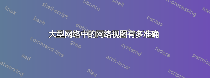 大型网络中的网络视图有多准确