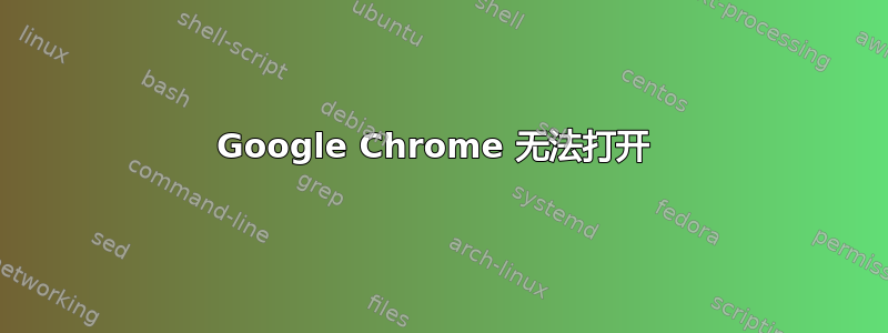 Google Chrome 无法打开 