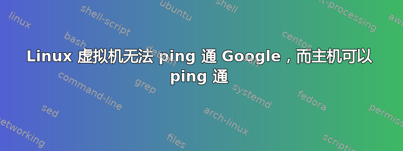 Linux 虚拟机无法 ping 通 Google，而主机可以 ping 通