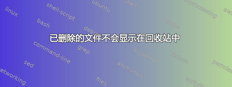 已删除的文件不会显示在回收站中