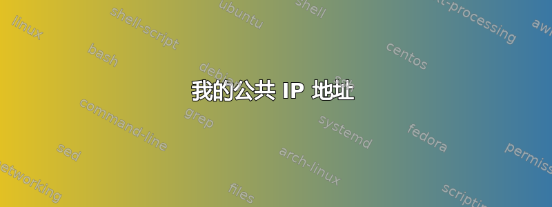 我的公共 IP 地址