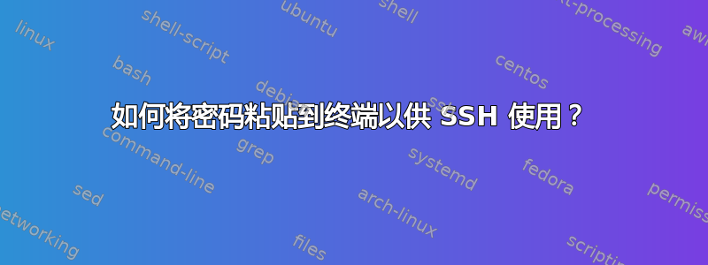 如何将密码粘贴到终端以供 SSH 使用？