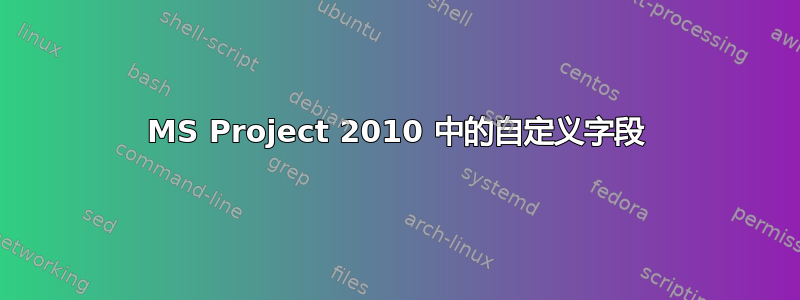 MS Project 2010 中的自定义字段