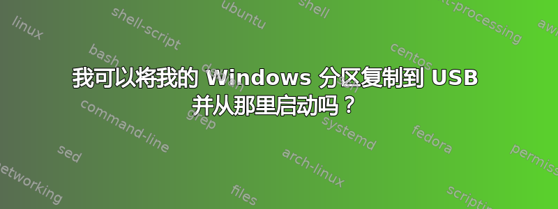 我可以将我的 Windows 分区复制到 USB 并从那里启动吗？