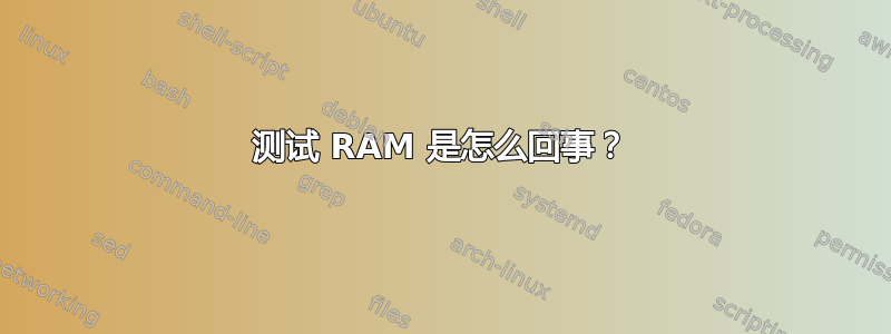 测试 RAM 是怎么回事？