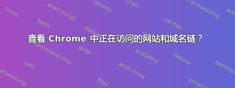 查看 Chrome 中正在访问的网站和域名链？