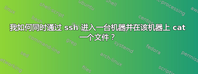 我如何同时通过 ssh 进入一台机器并在该机器上 cat 一个文件？