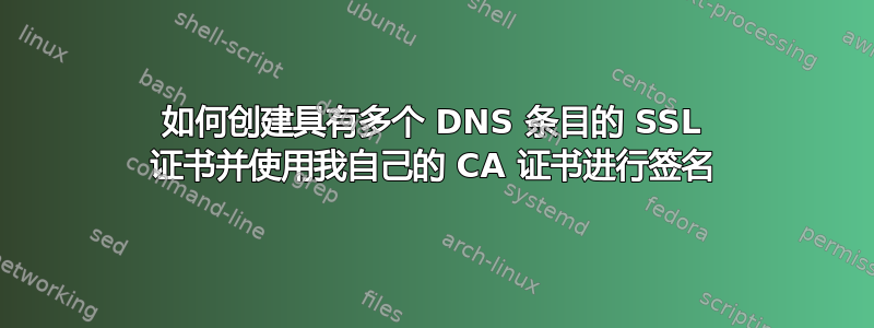 如何创建具有多个 DNS 条目的 SSL 证书并使用我自己的 CA 证书进行签名