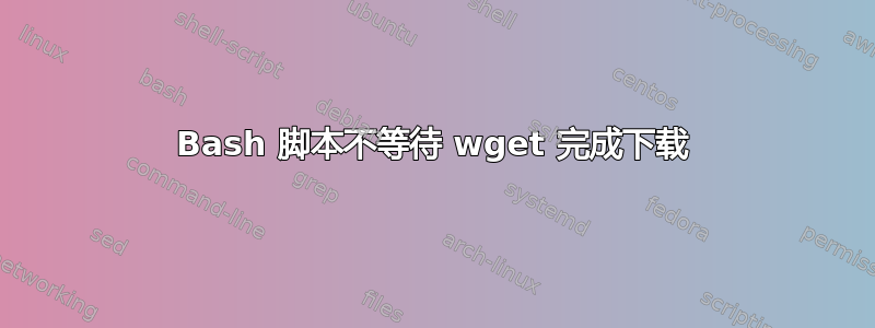 Bash 脚本不等待 wget 完成下载