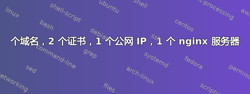 2 个域名，2 个证书，1 个公网 IP，1 个 nginx 服务器