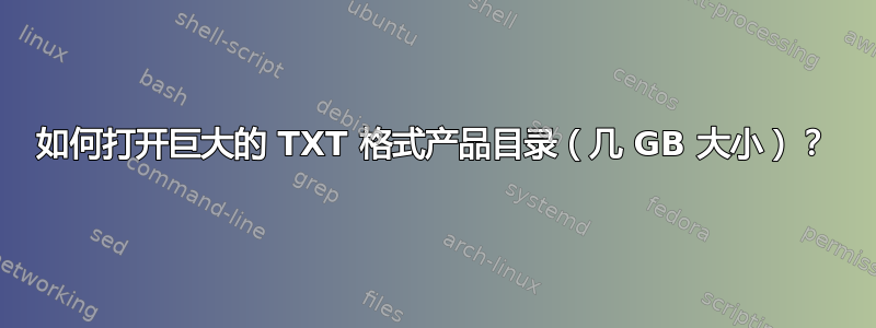 如何打开巨大的 TXT 格式产品目录（几 GB 大小）？