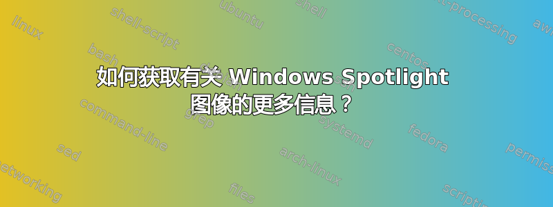 如何获取有关 Windows Spotlight 图像的更多信息？