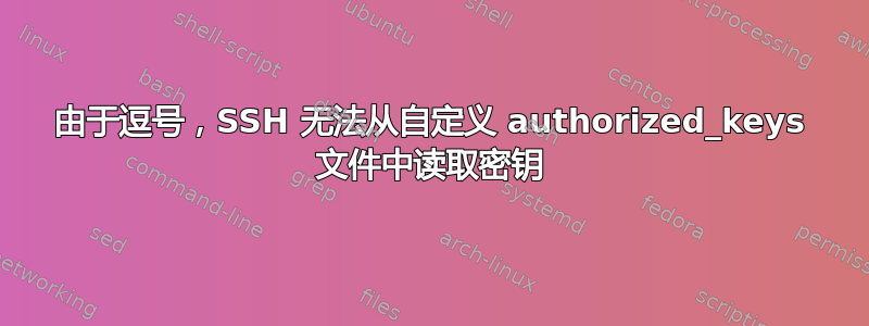 由于逗号，SSH 无法从自定义 authorized_keys 文件中读取密钥