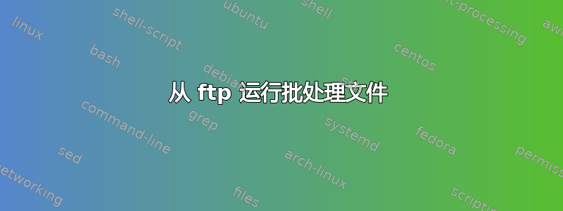 从 ftp 运行批处理文件