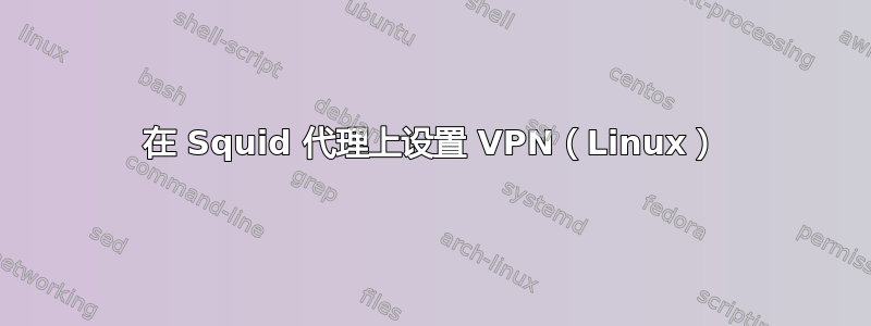 在 Squid 代理上设置 VPN（Linux）