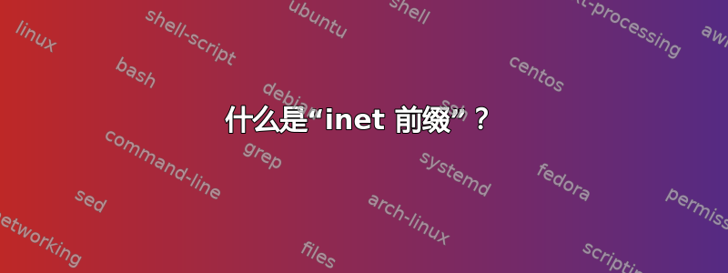 什么是“inet 前缀”？