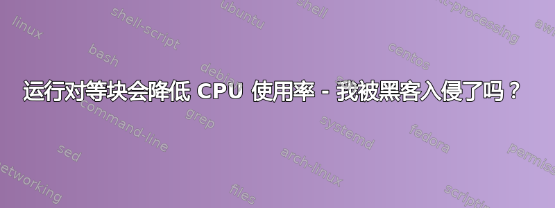 运行对等块会降低 CPU 使用率 - 我被黑客入侵了吗？