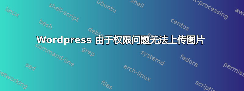 Wordpress 由于权限问题无法上传图片