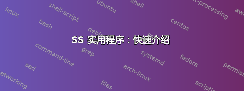 SS 实用程序：快速介绍