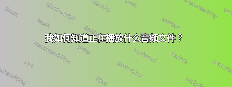 我如何知道正在播放什么音频文件？