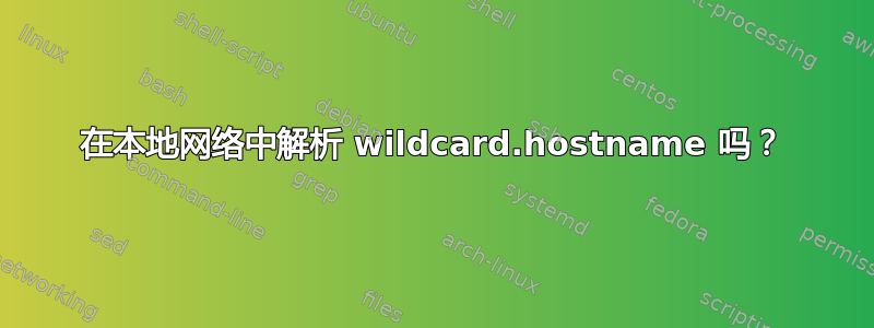 在本地网络中解析 wildcard.hostname 吗？