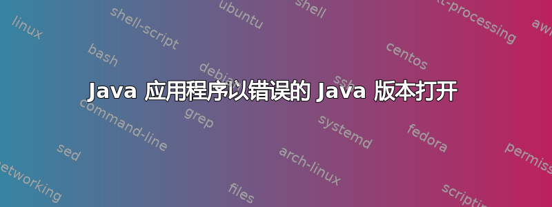 Java 应用程序以错误的 Java 版本打开