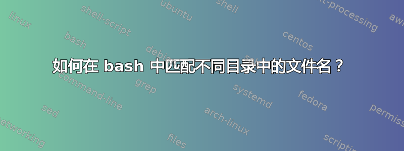 如何在 bash 中匹配不同目录中的文件名？