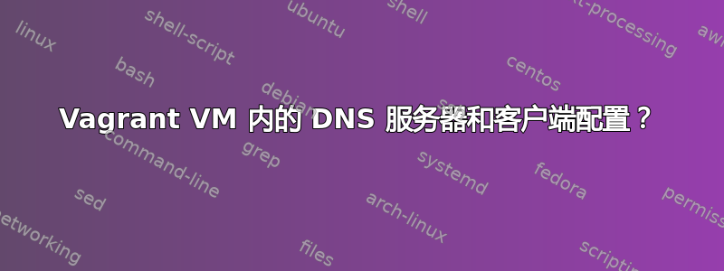 Vagrant VM 内的 DNS 服务器和客户端配置？