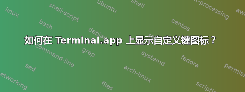 如何在 Terminal.app 上显示自定义键图标？