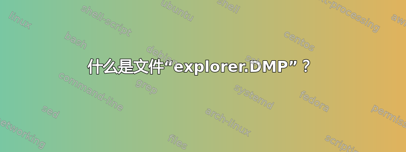 什么是文件“explorer.DMP”？