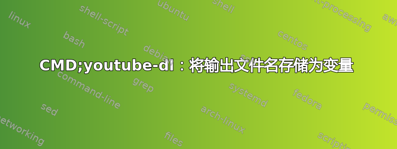 CMD;youtube-dl：将输出文件名存储为变量