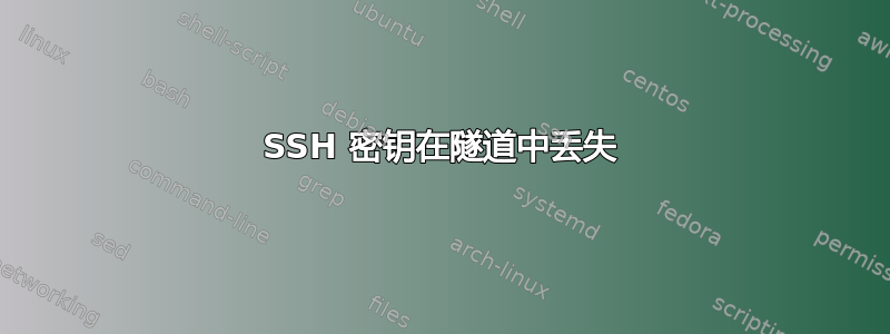 SSH 密钥在隧道中丢失