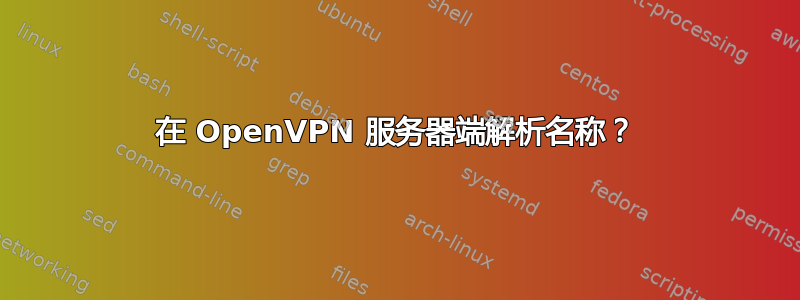 在 OpenVPN 服务器端解析名称？