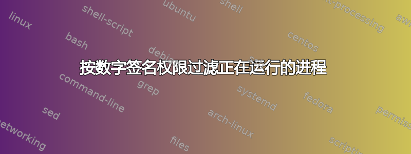 按数字签名权限过滤正在运行的进程