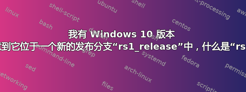 我有 Windows 10 版本 11082，并注意到它位于一个新的发布分支“rs1_release”中，什么是“rs1_release”？