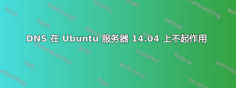 DNS 在 Ubuntu 服务器 14.04 上不起作用