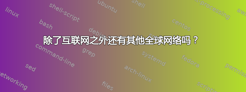 除了互联网之外还有其他全球网络吗？