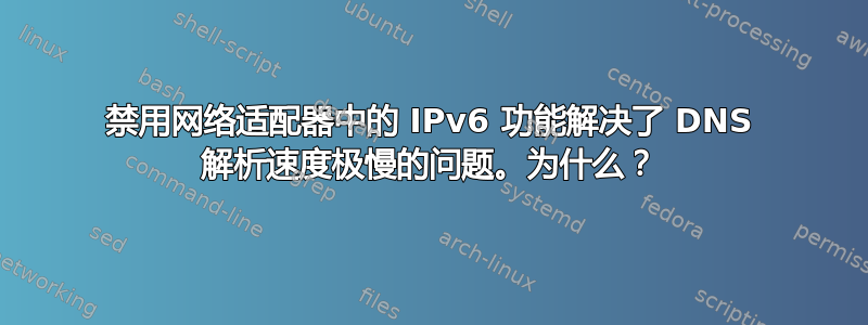 禁用网络适配器中的 IPv6 功能解决了 DNS 解析速度极慢的问题。为什么？