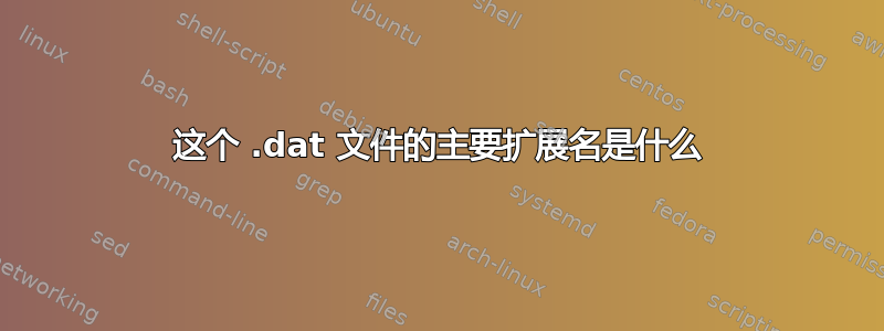 这个 .dat 文件的主要扩展名是什么