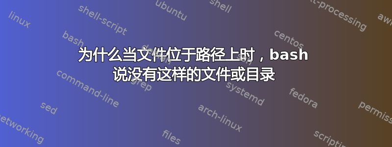 为什么当文件位于路径上时，bash 说没有这样的文件或目录