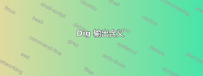 Dig 输出含义