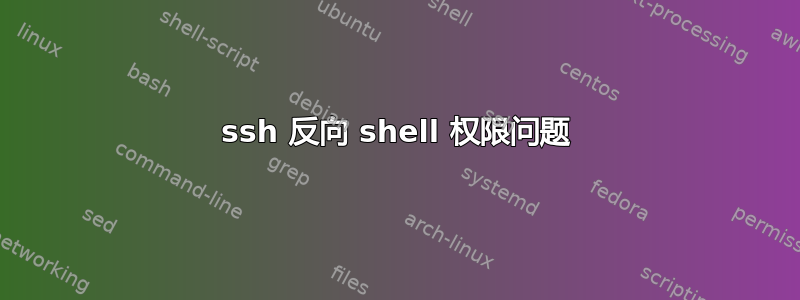 ssh 反向 shell 权限问题