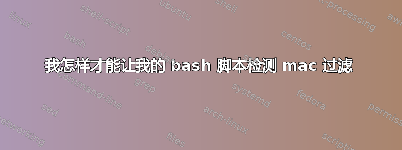 我怎样才能让我的 bash 脚本检测 mac 过滤