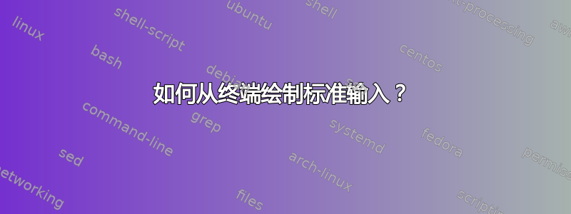 如何从终端绘制标准输入？