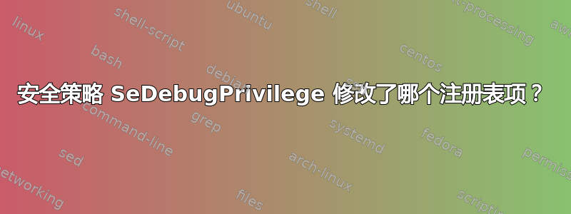 安全策略 SeDebugPrivilege 修改了哪个注册表项？