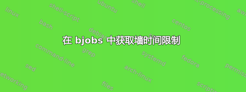 在 bjob​​s 中获取墙时间限制