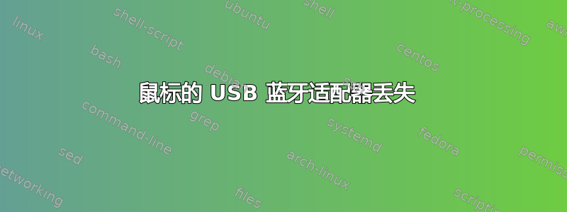 鼠标的 USB 蓝牙适配器丢失 