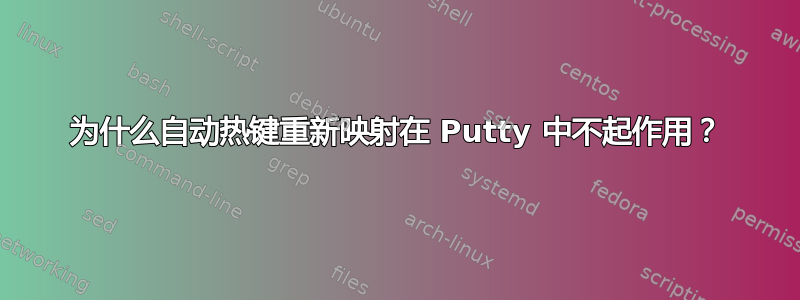 为什么自动热键重新映射在 Putty 中不起作用？