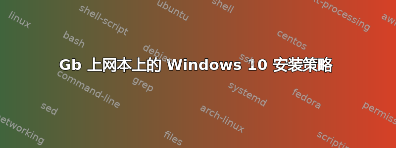 32Gb 上网本上的 Windows 10 安装策略